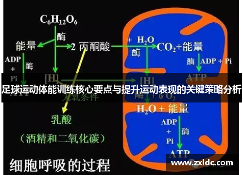 足球运动体能训练核心要点与提升运动表现的关键策略分析