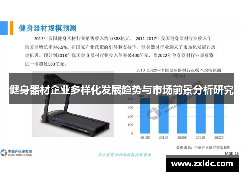 健身器材企业多样化发展趋势与市场前景分析研究