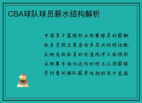 CBA球队球员薪水结构解析