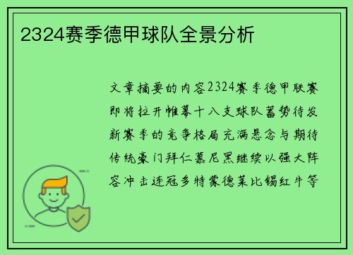 2324赛季德甲球队全景分析